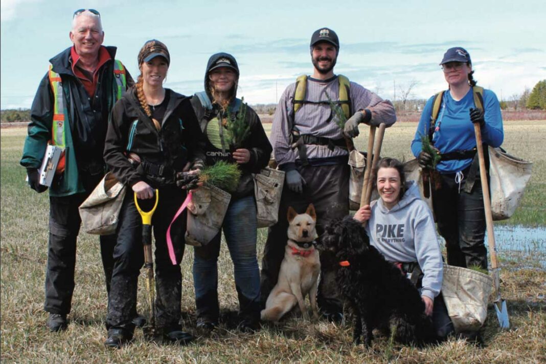 Another 11,500 trees have been planted on the McLaughlin family’s land just outside of Gore Bay. The work took place last week and included the planting white spruce and white pine. From left is Laing Bennett, of Algoma-Manitoulin Forestry Services, Peetrylia Wreggit, forest technician/managing partner in Regen, Madison Irving, Matt Dreifelds, Annabelle Lacassa and Rachel Parkes.