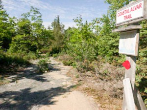 Get ready for adventure as you start the Coast Alvar Trail at Misery Bay Provincial Park.