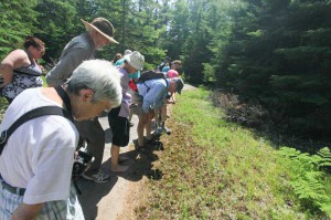 Hikers stop to take a look at the flora and fauna of Misery Bay park during an excursion. 