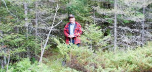 Steve Hall of Gordon Township stands precisely where the trail camera caught the cougar in motion in the same municipality. Mr. Hall was for many years the Ontario Puma Association’s Manitoulin contact for people who thought they had spotted a cougar here. The angled tree to the left of Mr. Hall and the tall juniper bush in front of him are the same landmarks caught by the trail camera. The photo with Mr. Hall was taken Monday of this week.