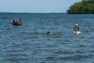 Ray Scott was followed closely by his support team during his marathon swim. He’s seen here nearing the dock at Newby’s Bay on Monday afternoon, nine hours after entering the frigid Lake Manitou waters.