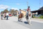 Assig-FF-parade-horses