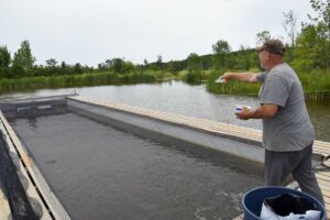 John Caselton tossing food into the water cages. photo by Michael Erskine