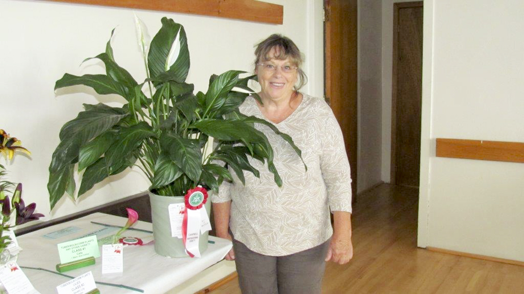 Evelyn Russell-Baehr took home the winning award for her  beautiful peace lily plant.