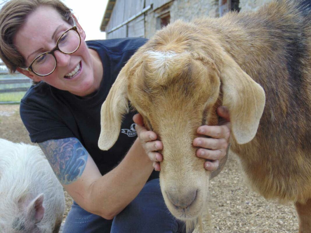 Ali Valentine and Ted the blind goat at the GLO Farm Sanctuary near Manitowaning. Ted is just one of the many animals that now makes the GLO Farm home. photo by Margery Frisch