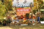 HGD Silver Water