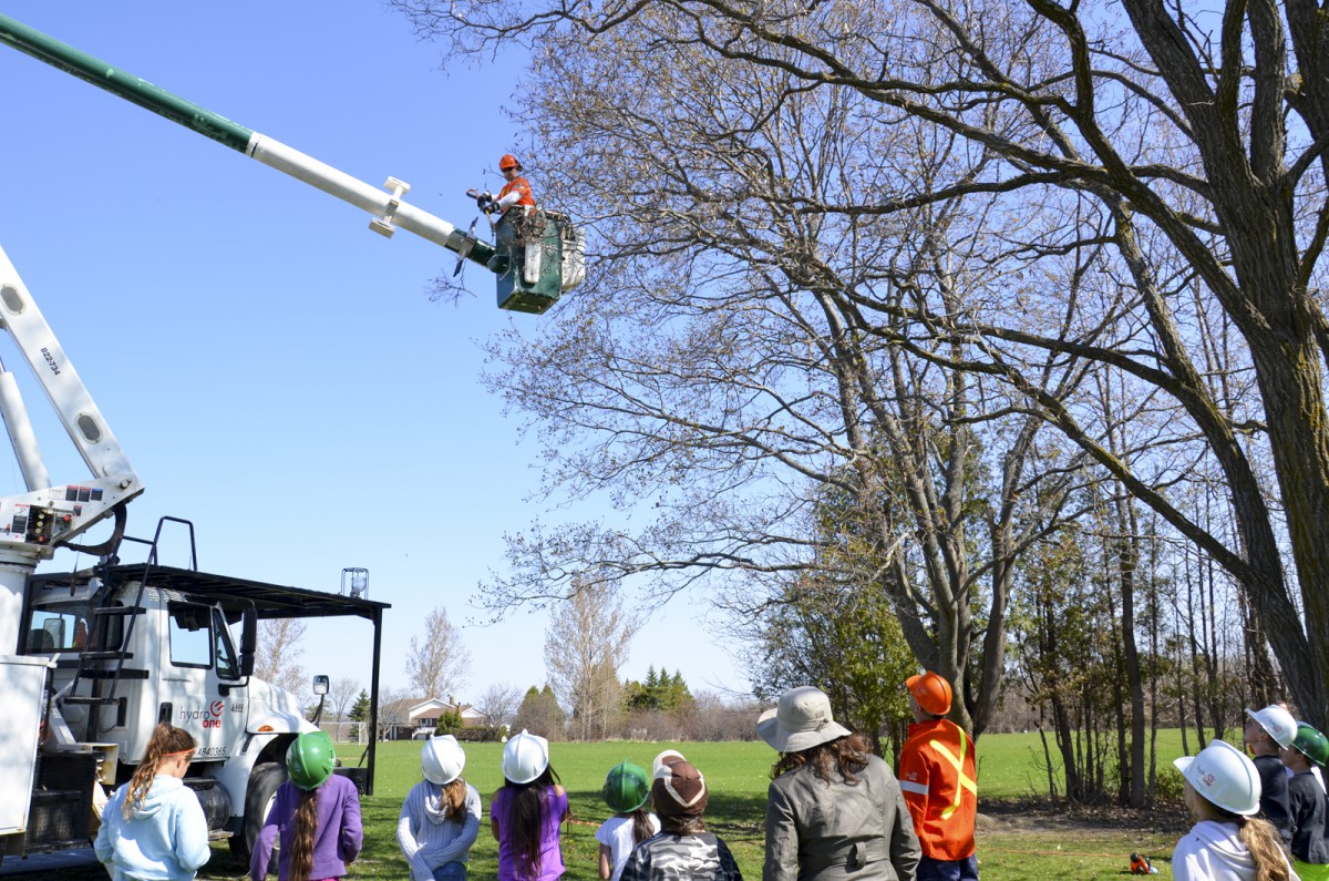 Forestry tech Chris Valley clips branches during a Hydro One Arbour Day presentation.