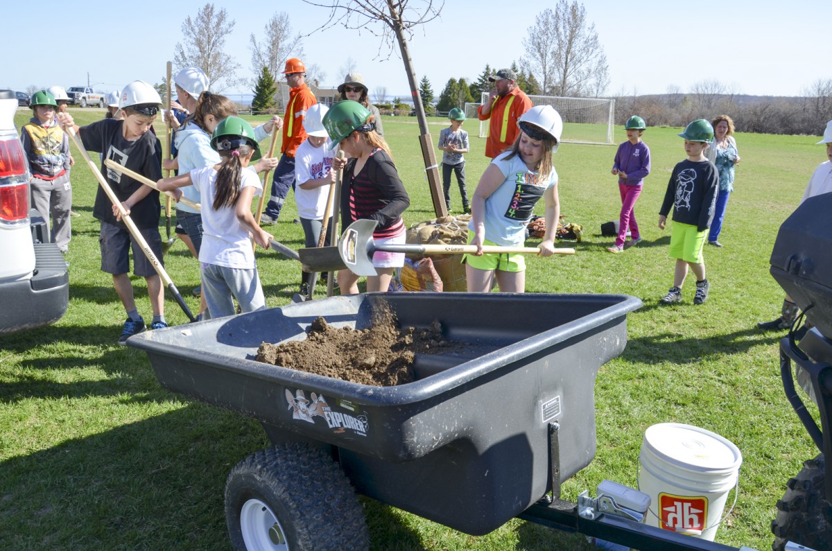 ssiginack Public School students help dig a hole to plant a large tree donated to the school by Hydro One to celebrate Arbour Day.