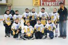 MTA-hockey-ATOM