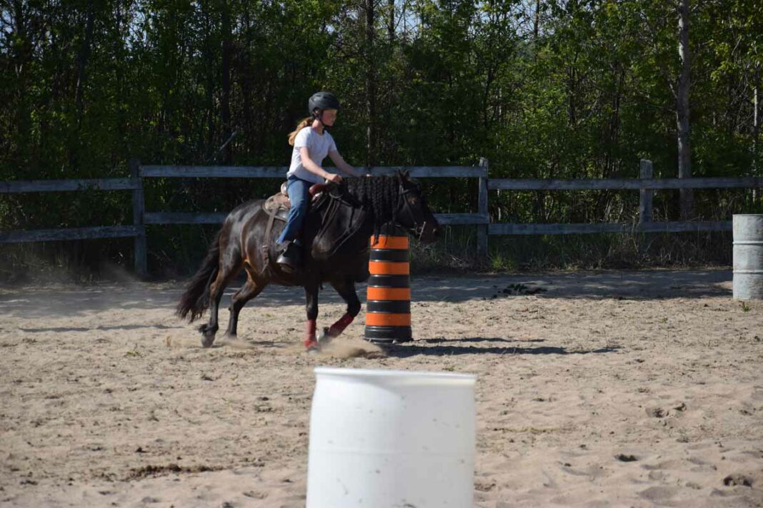 Manitoulin Horse Club barrel racing student Avery Barnes of Little Current takes her mount through the pylons. photo by Michael Erskine.