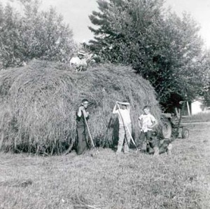 Vacation on the home farm in Arthurette August 1956.