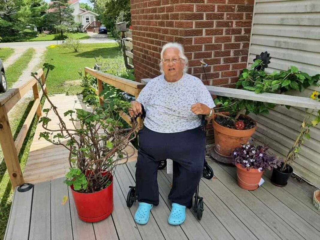 This geranium plant has been in Norma Moggy’s family for over 100 years and many generations. Her father, Roy Fields, gave the plant to Ms. Moggy and his grandmother had passed the plant on to him.