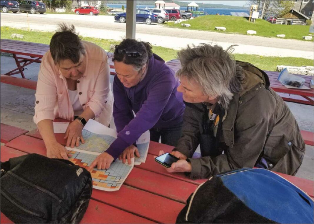 Norteast region coordinator for the Ontario Breeding Bird Atlas Anna Sheppard, center, pours over maps of Manitoulin Island with volunteers. Photo by Michael Erskine