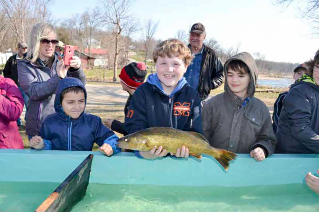 Jordan Goddard, holds up a walleye during his Little Current Public School’s class trip to the Little Current Fish and Game’s hatchery in Sheguiandah.