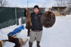 Wiiky Culture Days trapper Leroy Peltier holds up a martin and beaver pelts from animals that he captured on his trapline