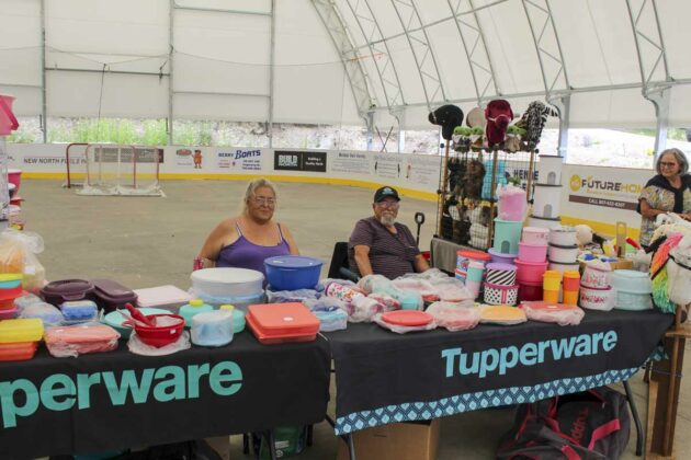 One of the vendors at the market, held at the ArtInfusion weekend celebrations.