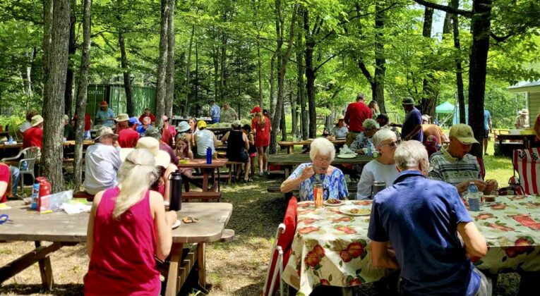 There was a large group of people on hand to enjoy the annual Ice Lake community picnic.