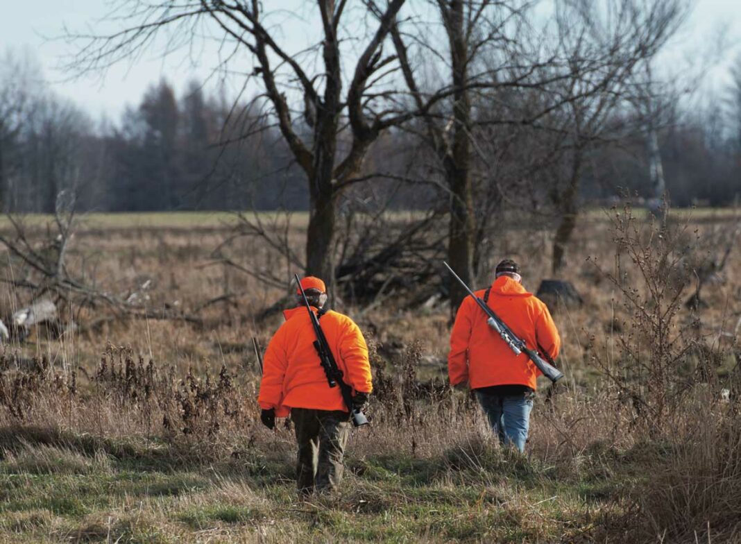 A recommendation from the annual deer management meeting to see deer tags raised for 2023 will be brought to the Ministry of Natural Resources and Forestry. Shutterstock.