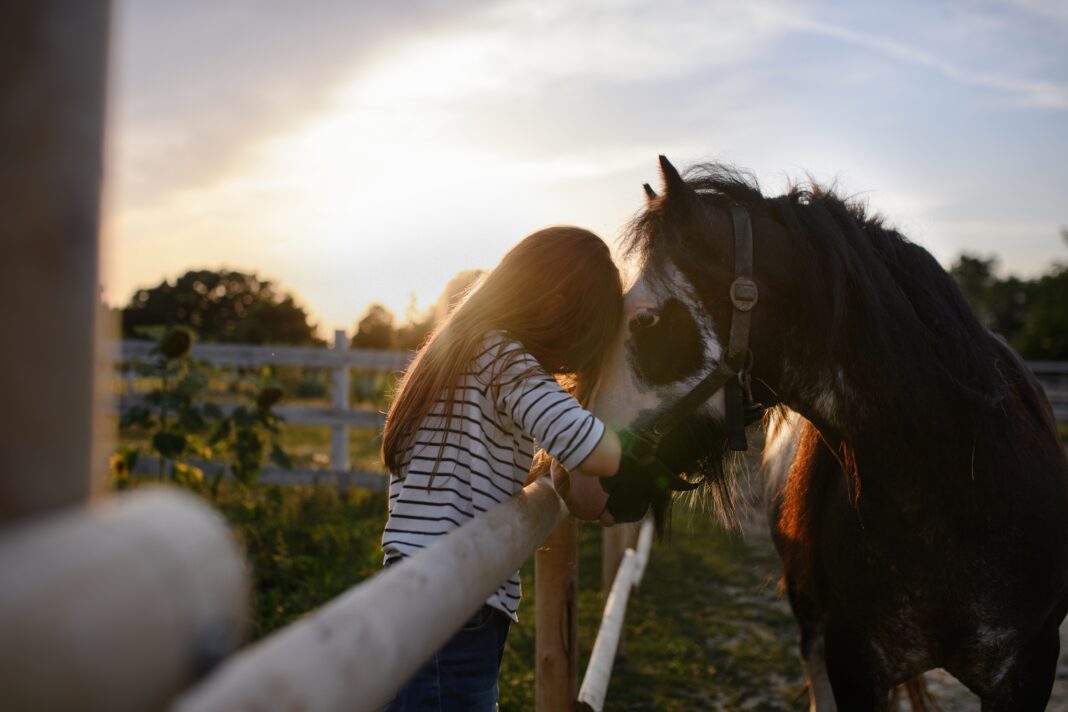 Canadian studies show that farmers experience greater mental health challenges than the general population. Shutterstock.