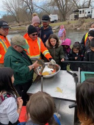 Little Current Fish and Game Club members Bill Strain and Dale Baker show students the process for fertilizing the walleye eggs.