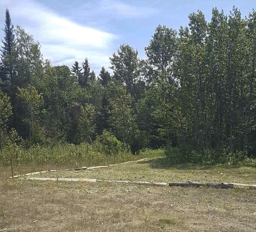 Members of the Michaels Bay Historical Society continue to work diligently to clear the area of the old Michael’s Bay Townsite to give visitors a chance to see the streets of the old townsite.