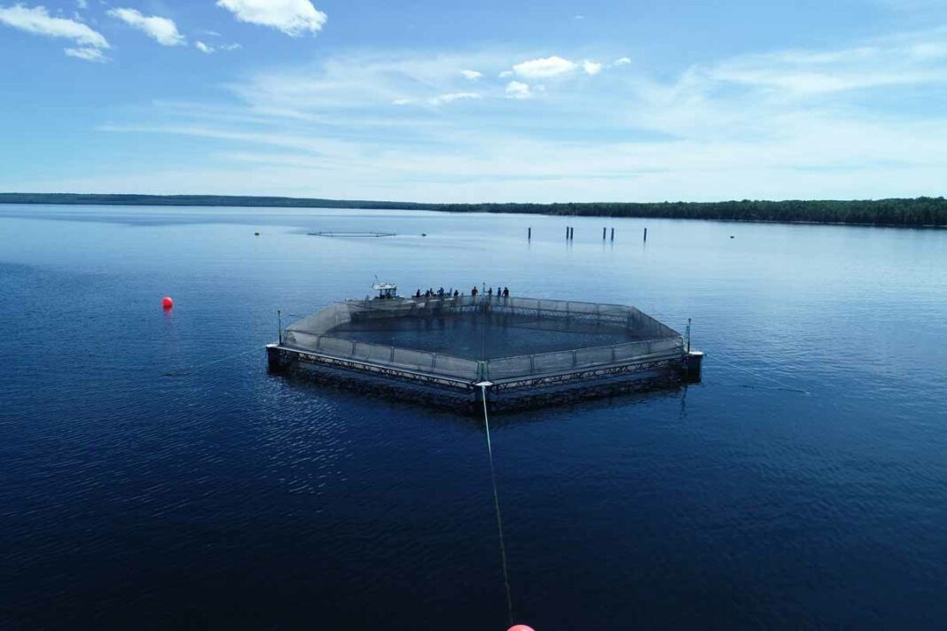 Sheshegwaning First Nation’s Odawa Island (fish farm) has just finalized a new partnership with Cedar Crest Farms/Springhills Fish to open up a new fish farm in the community.